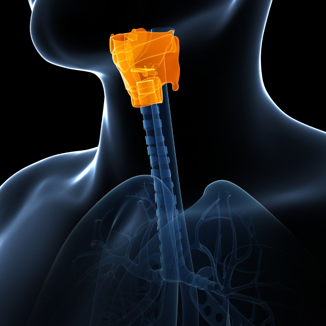 Videolaringoestroboscopia: como funciona o exame que analisa suas cordas vocais